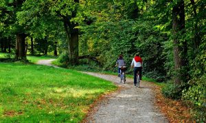 Fietsvakanties Met Bagagevervoer