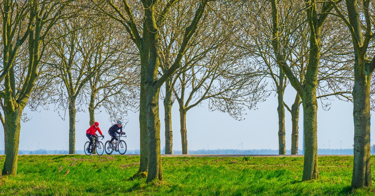 2 fietsers op een dijk met bomen