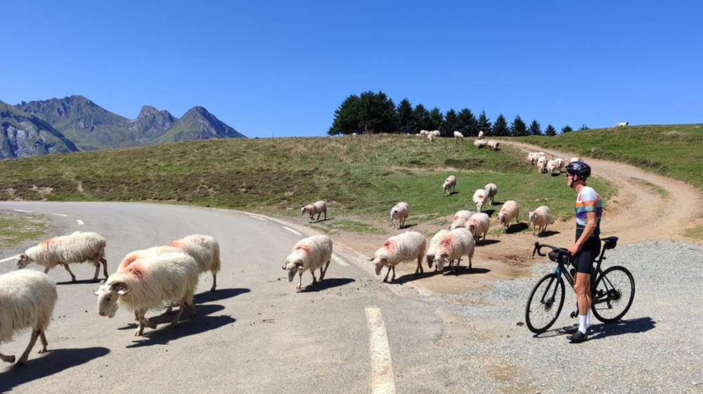 Fiets safari in de Pyreneeën